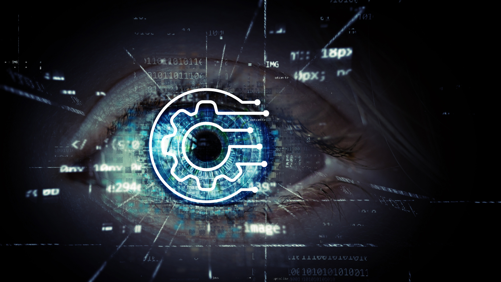 Exploring the Role of a Software Development Company in India